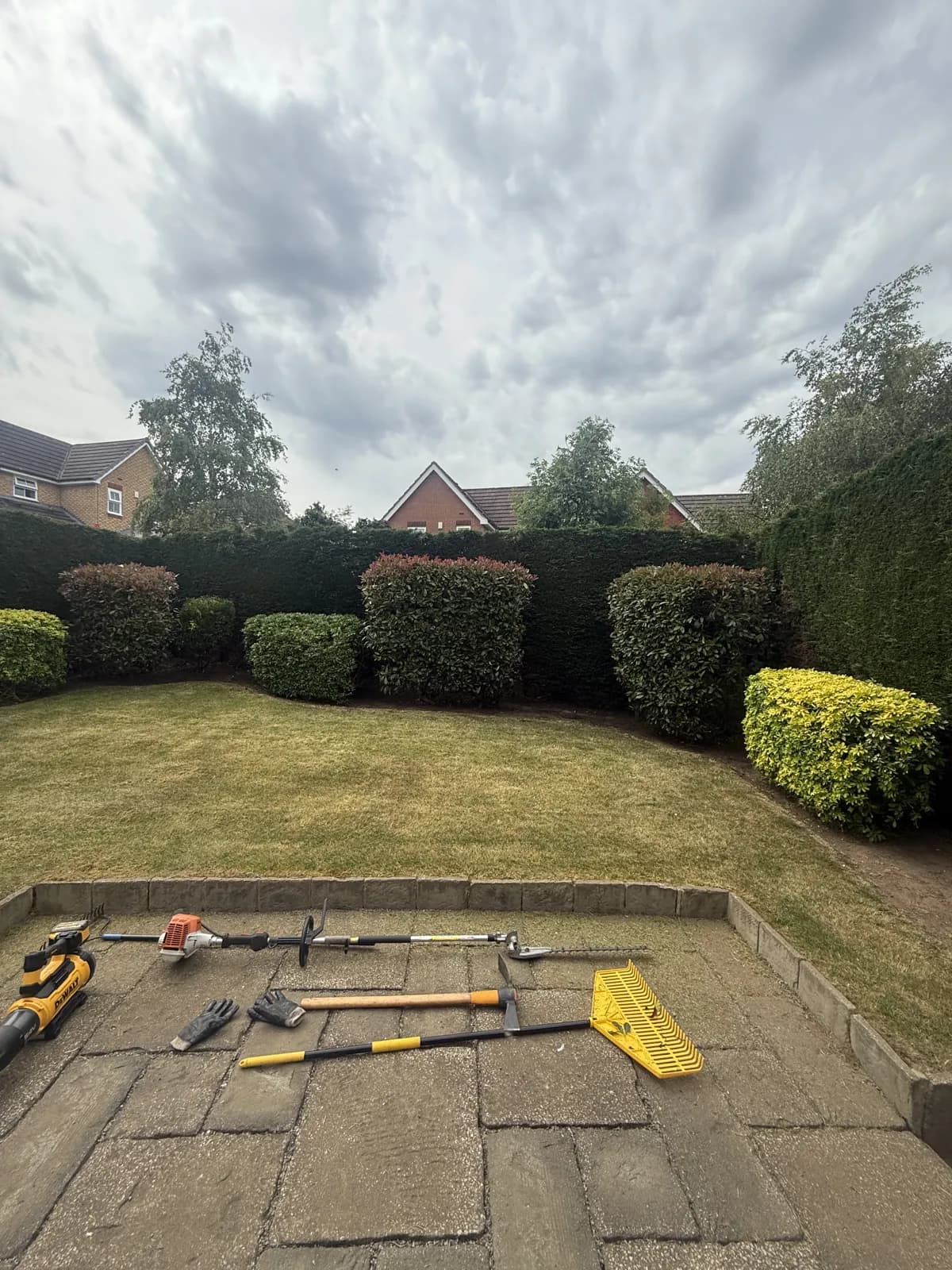 Neatly trimmed and shaped hedges by Akromis